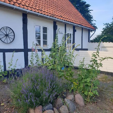 Violen Apartamento Åkirkeby Exterior foto