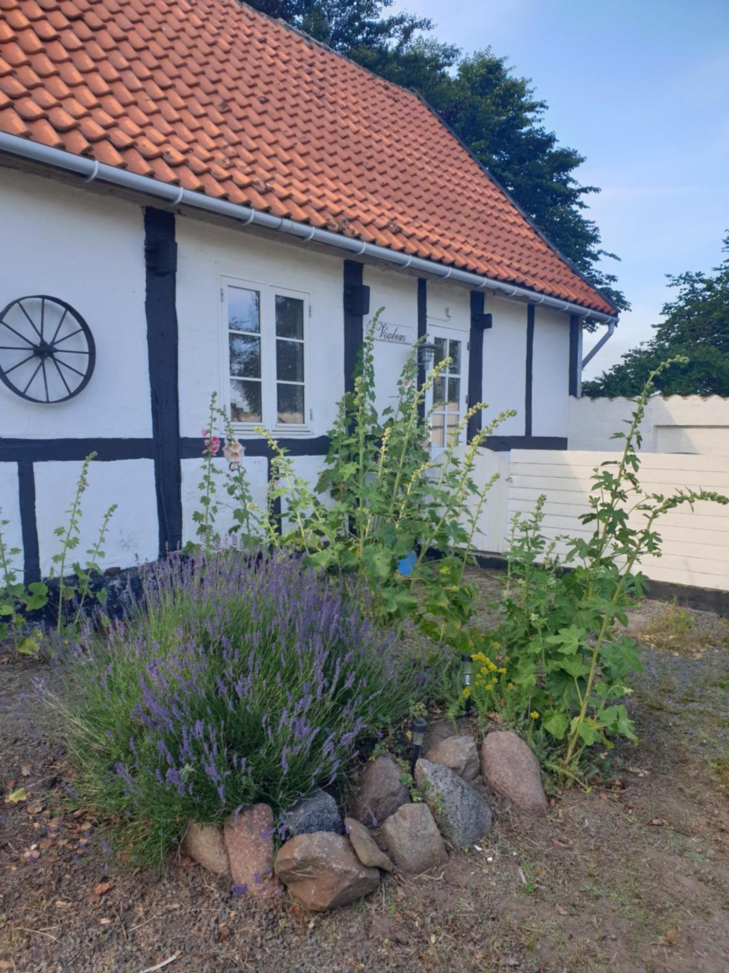 Violen Apartamento Åkirkeby Exterior foto